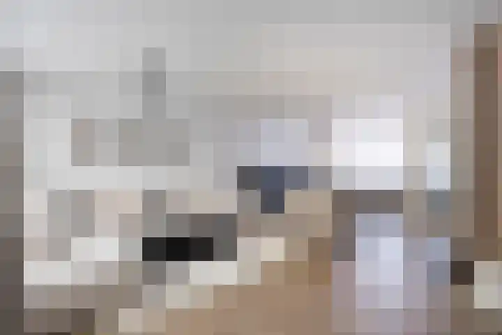 Slangenburg 17 Eindhoven thumbnail 15