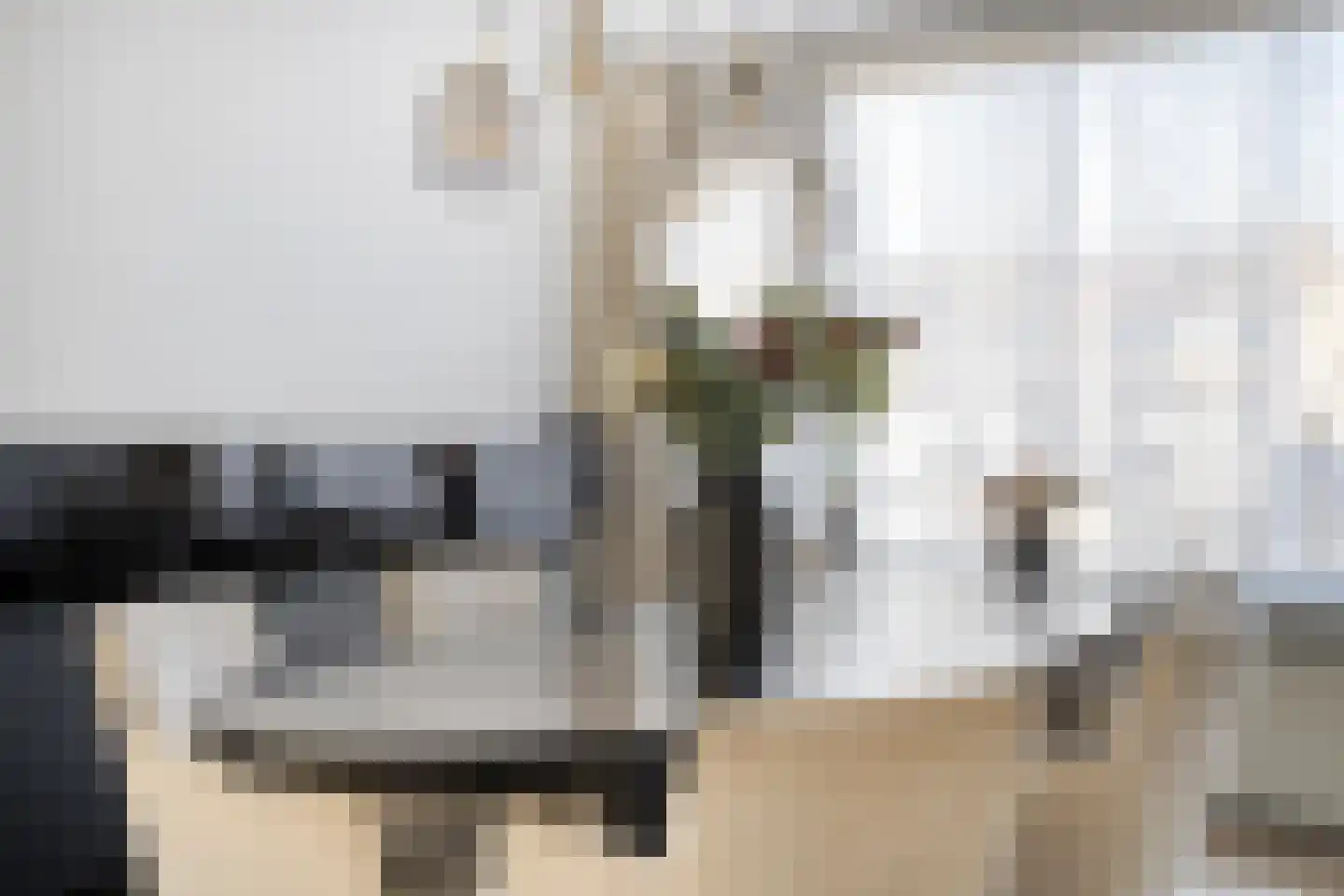Slangenburg 17 Eindhoven thumbnail 19