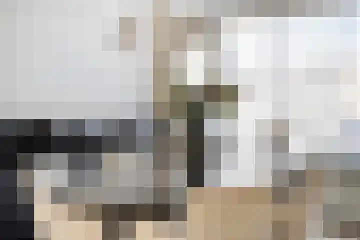 Slangenburg 17 Eindhoven thumbnail 19