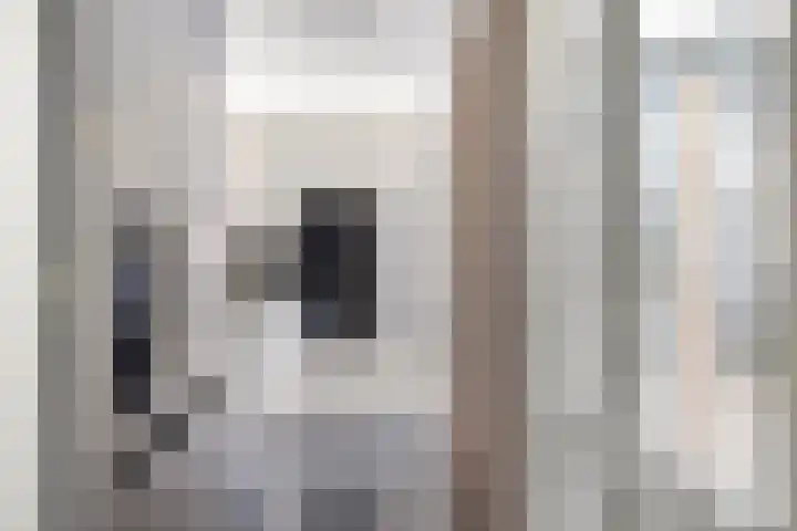 Slangenburg 17 Eindhoven thumbnail 20