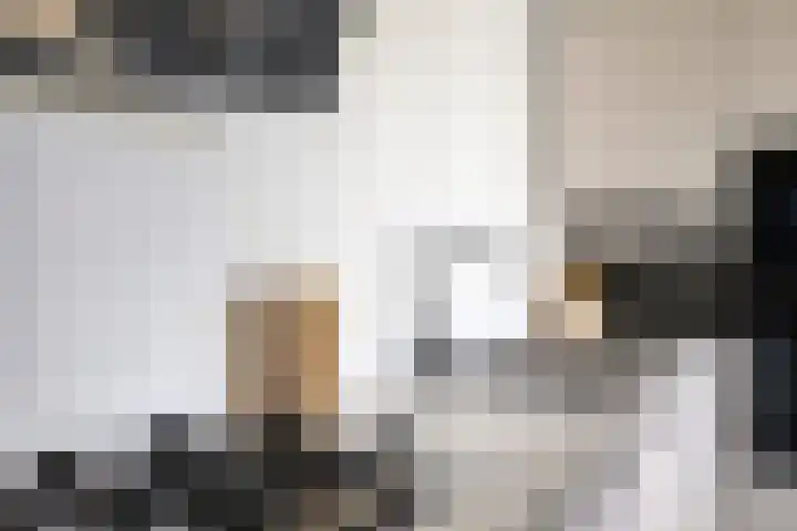 Slangenburg 17 Eindhoven thumbnail 21