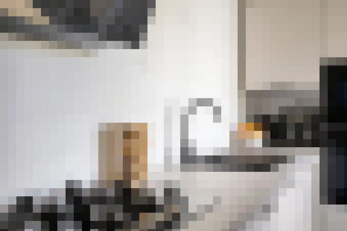 Slangenburg 17 Eindhoven thumbnail 21