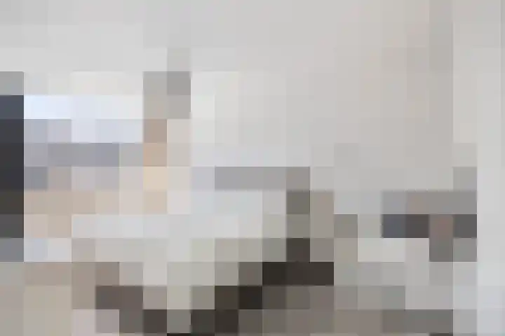 Slangenburg 17 Eindhoven thumbnail 27