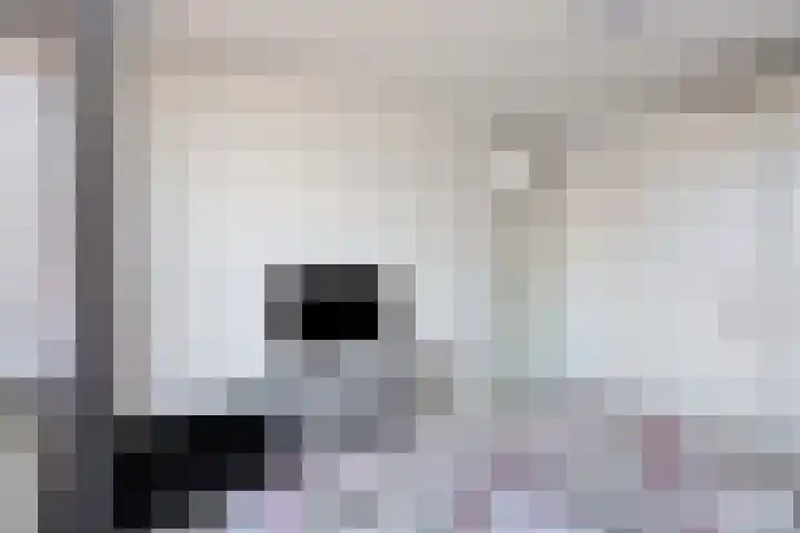 Slangenburg 17 Eindhoven thumbnail 30