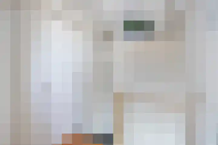 Slangenburg 17 Eindhoven thumbnail 32