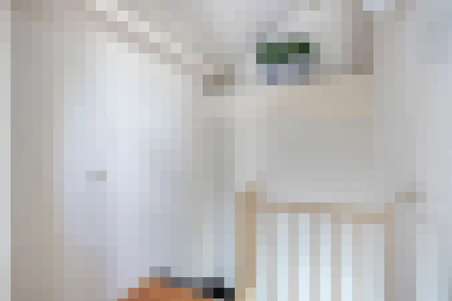 Slangenburg 17 Eindhoven thumbnail 32