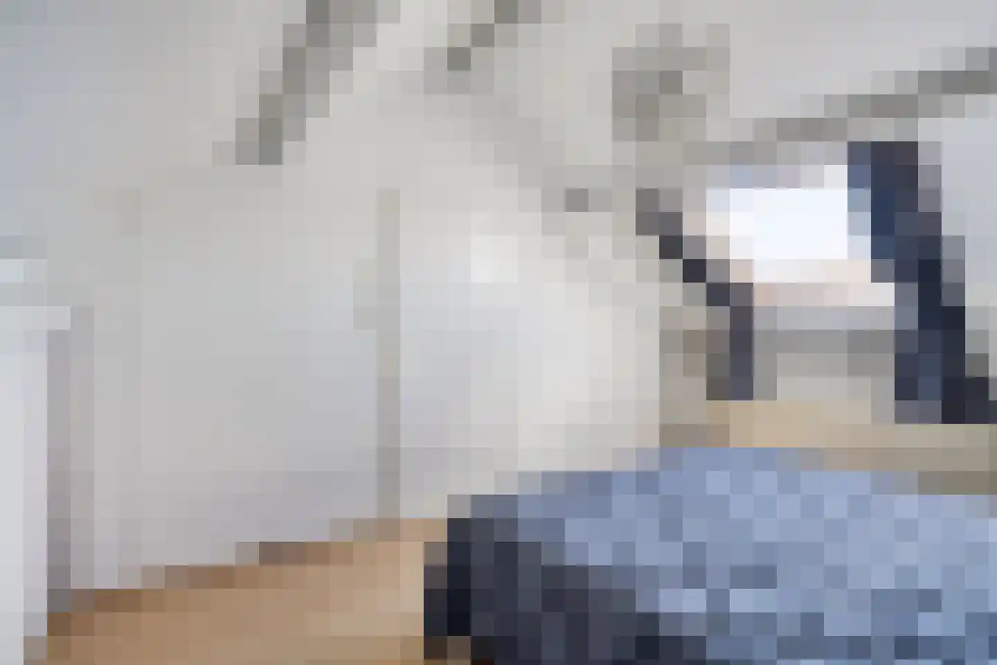 Slangenburg 17 Eindhoven thumbnail 34