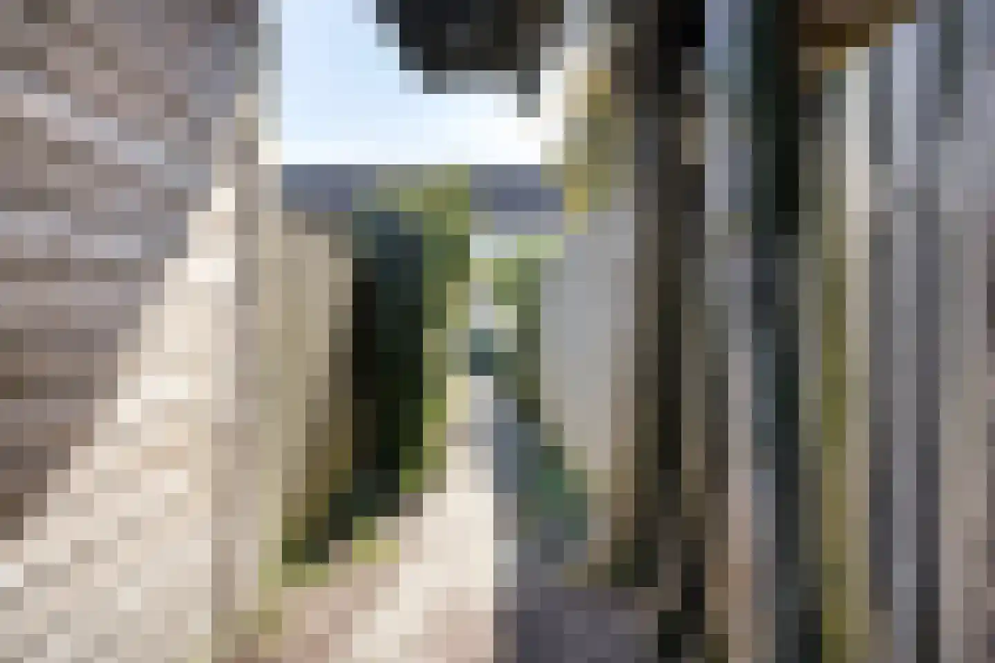 Slangenburg 17 Eindhoven thumbnail 39