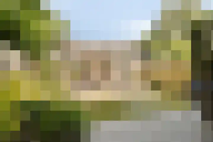 Slangenburg 19 Zwijndrecht thumbnail 17