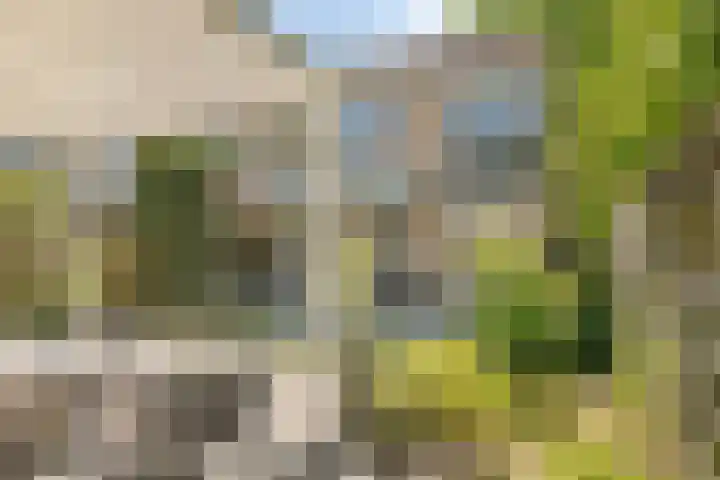 Slangenburg 19 Zwijndrecht thumbnail 19