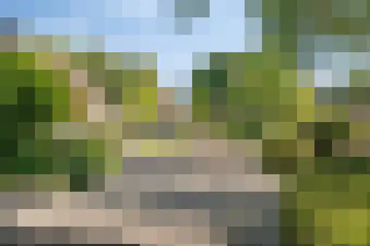 Slangenburg 19 Zwijndrecht thumbnail 36