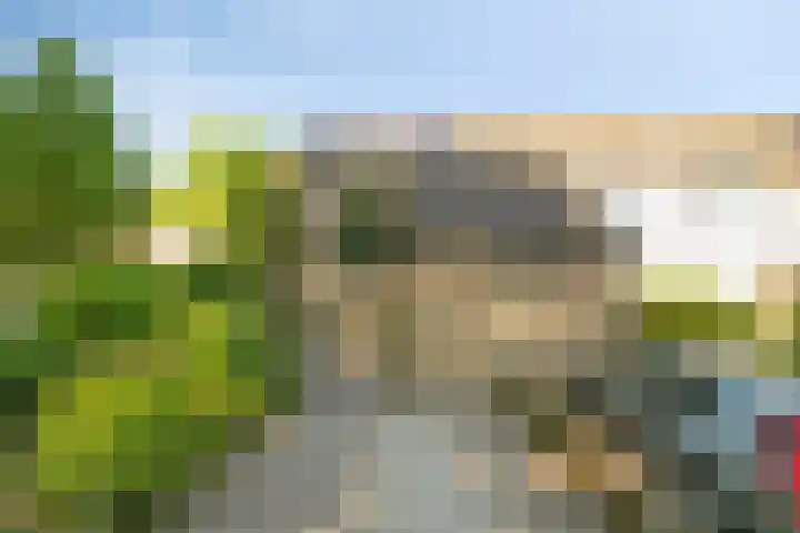 Slangenburg 19 Zwijndrecht thumbnail 37