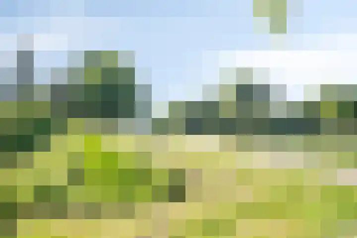 Slangenburg 19 Zwijndrecht thumbnail 43