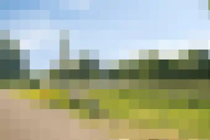 Slangenburg 19 Zwijndrecht thumbnail 45