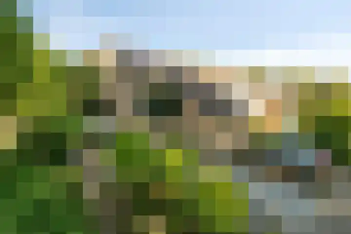 Slangenburg 19 Zwijndrecht thumbnail 56