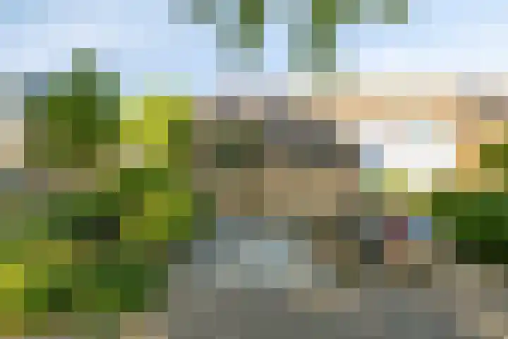 Slangenburg 19 Zwijndrecht thumbnail 6