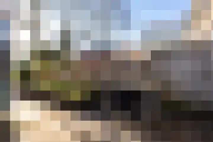 Slangenburg 210 Dordrecht thumbnail 33