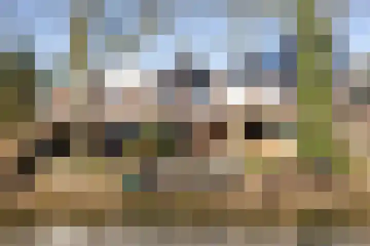 Slangenburg 210 Dordrecht thumbnail 34