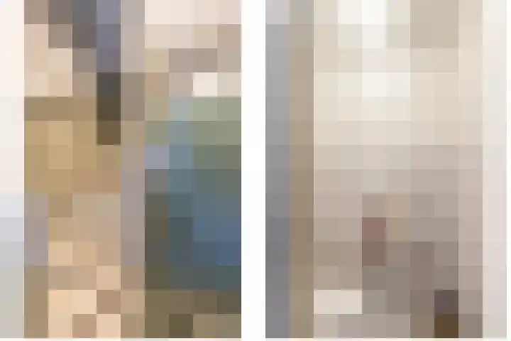 Slangenburg 241 Dordrecht thumbnail 6