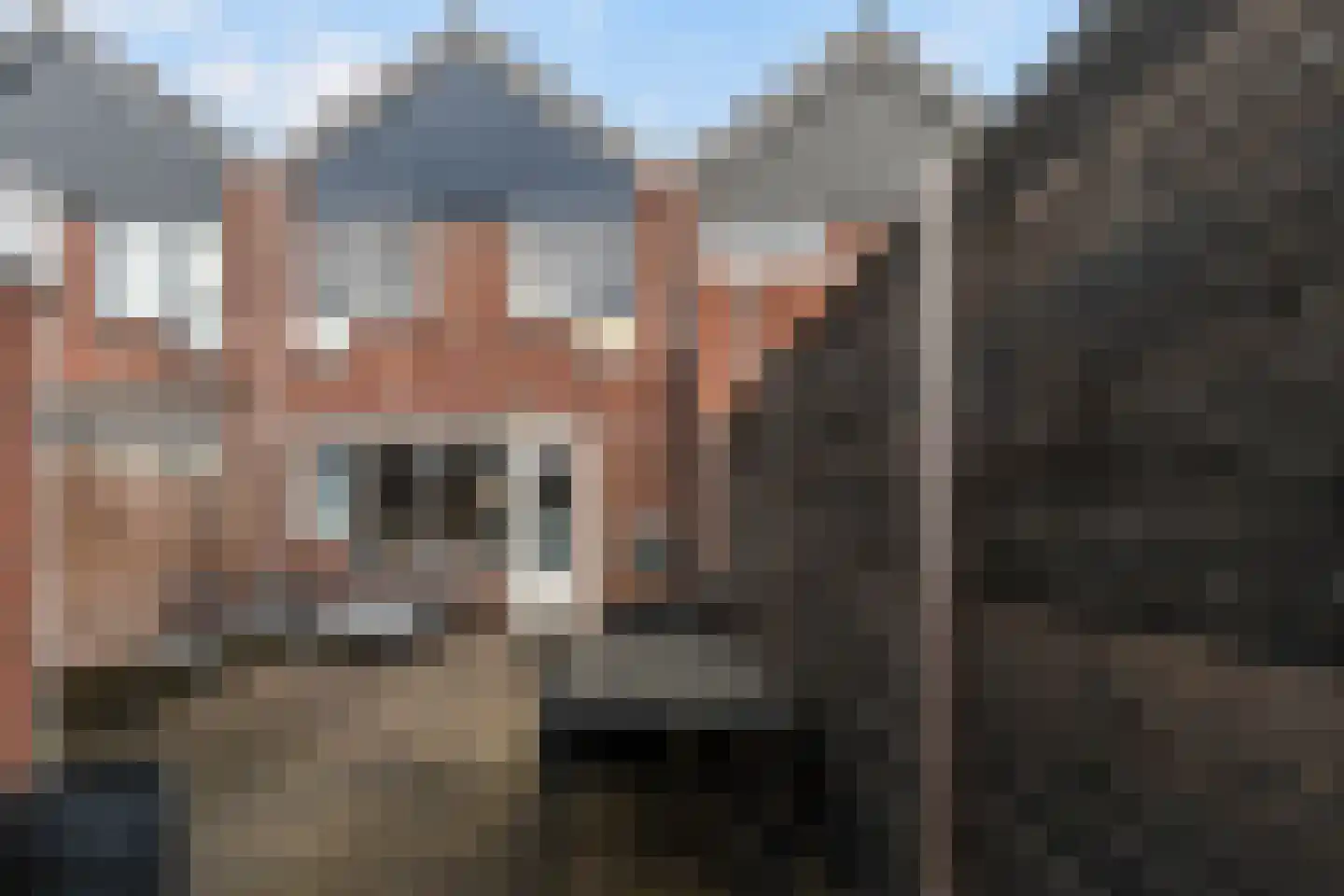 Slangenburg 250 Dordrecht thumbnail 25