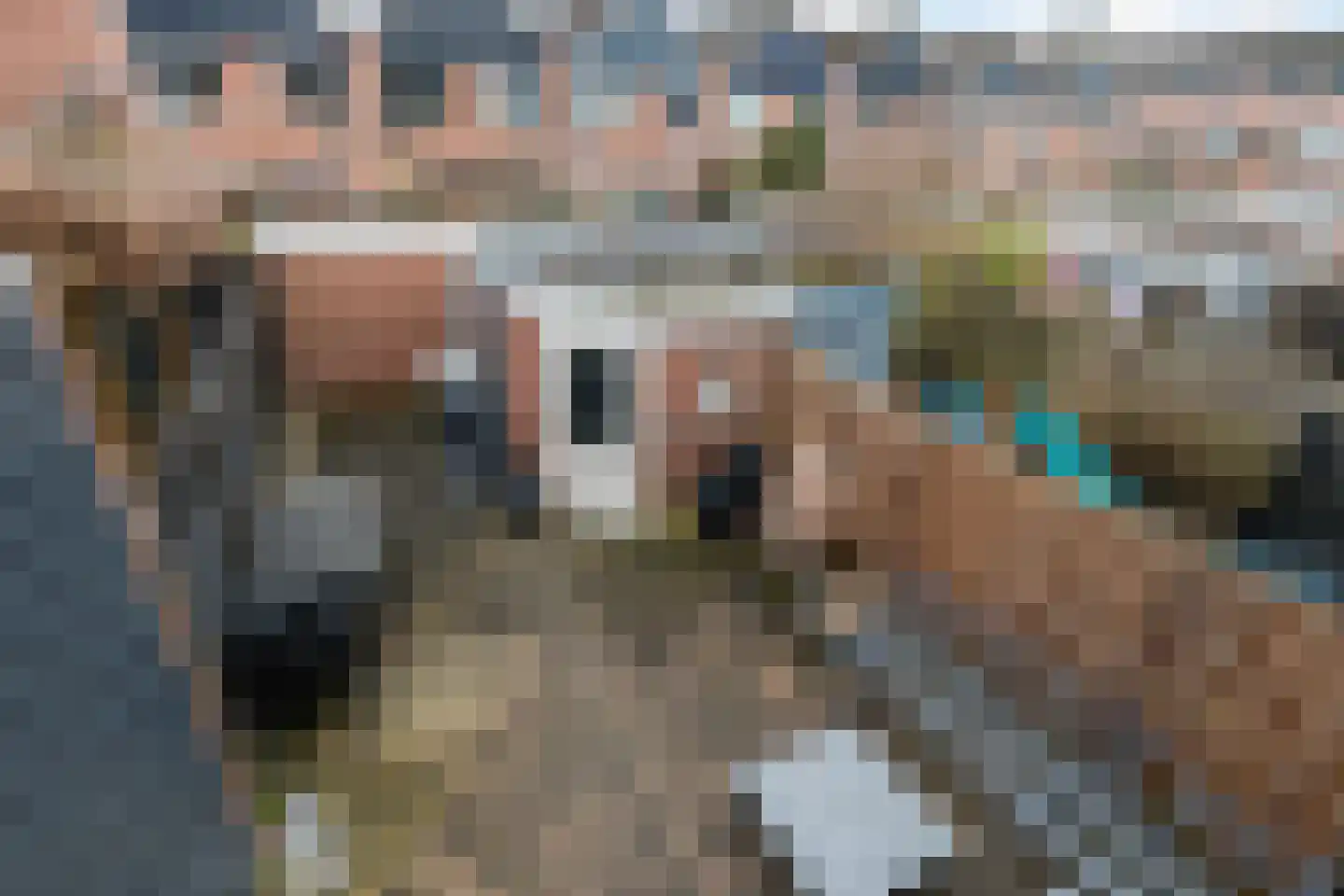 Slangenburg 250 Dordrecht thumbnail 4