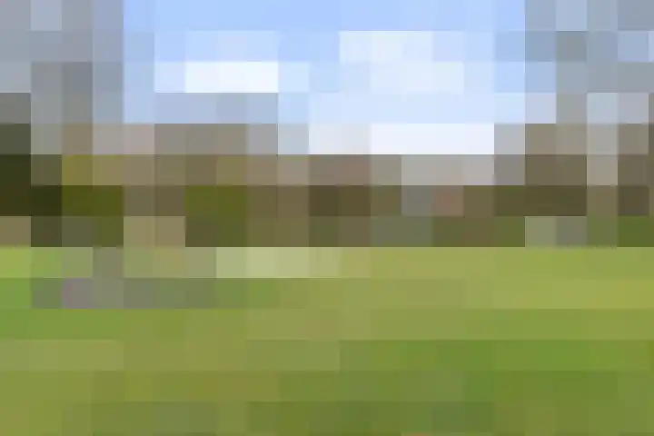 Slangenburg 27 Ugchelen thumbnail 38