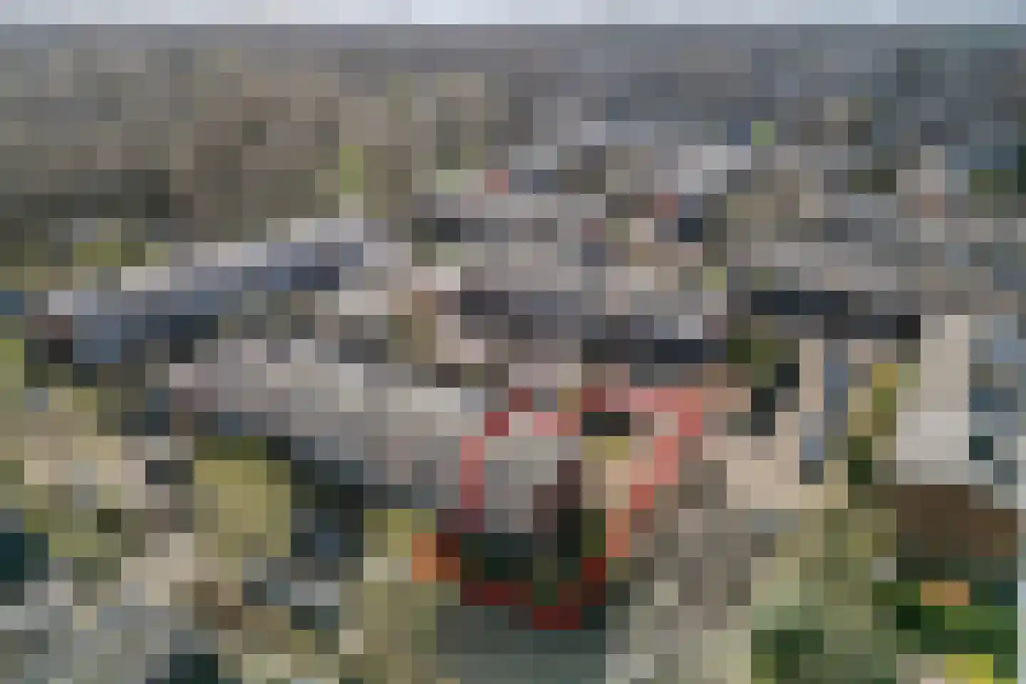 Slangenburg 27 Ugchelen thumbnail 40