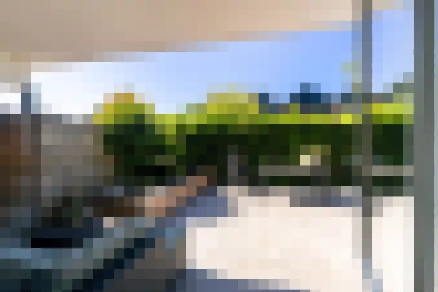 Slangenburg 276 Dordrecht thumbnail 31