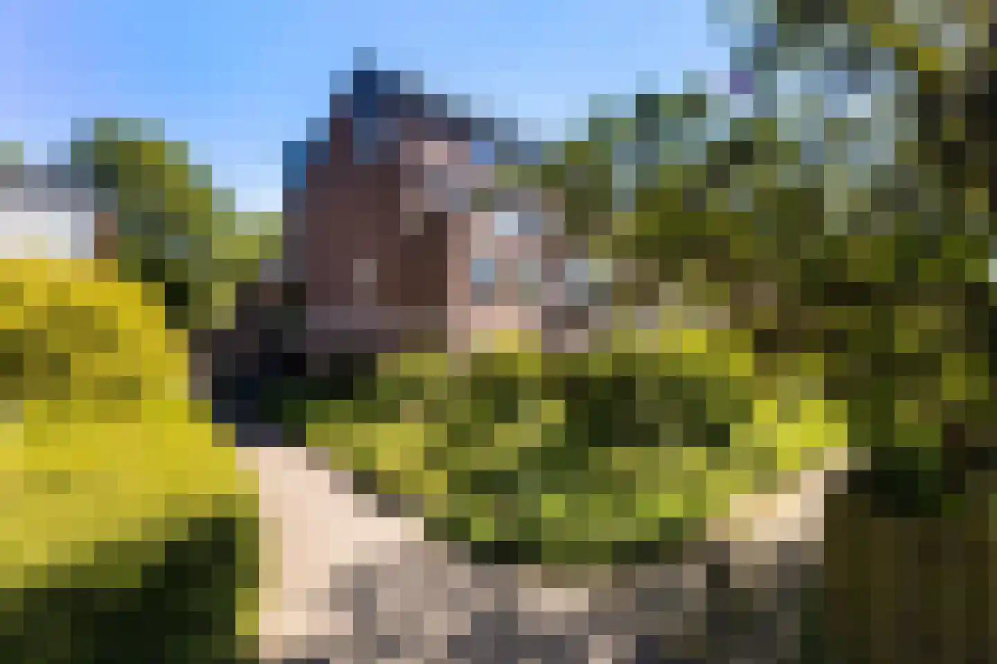 Slangenburg 276 Dordrecht thumbnail 37