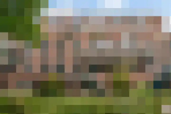 Slangenburg 286 Dordrecht thumbnail 29