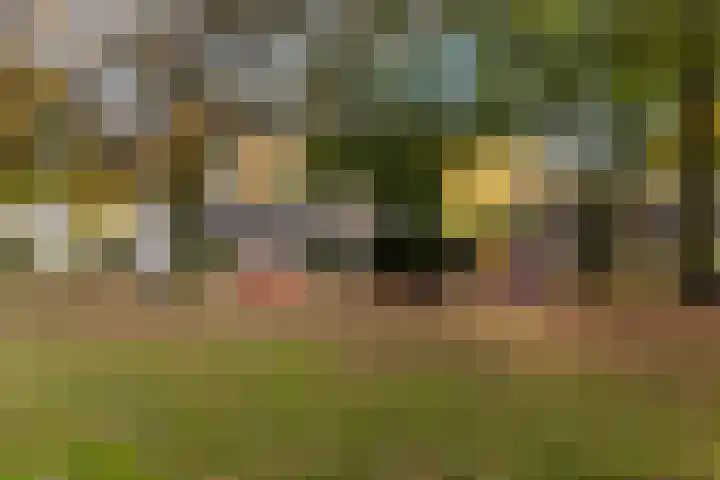 Slangenburg 34 Ugchelen thumbnail 26