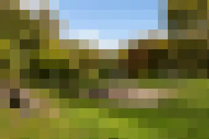 Slangenburg 34 Ugchelen thumbnail 27