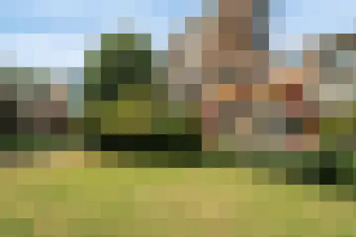 Slangenburg 37 Dordrecht thumbnail 47