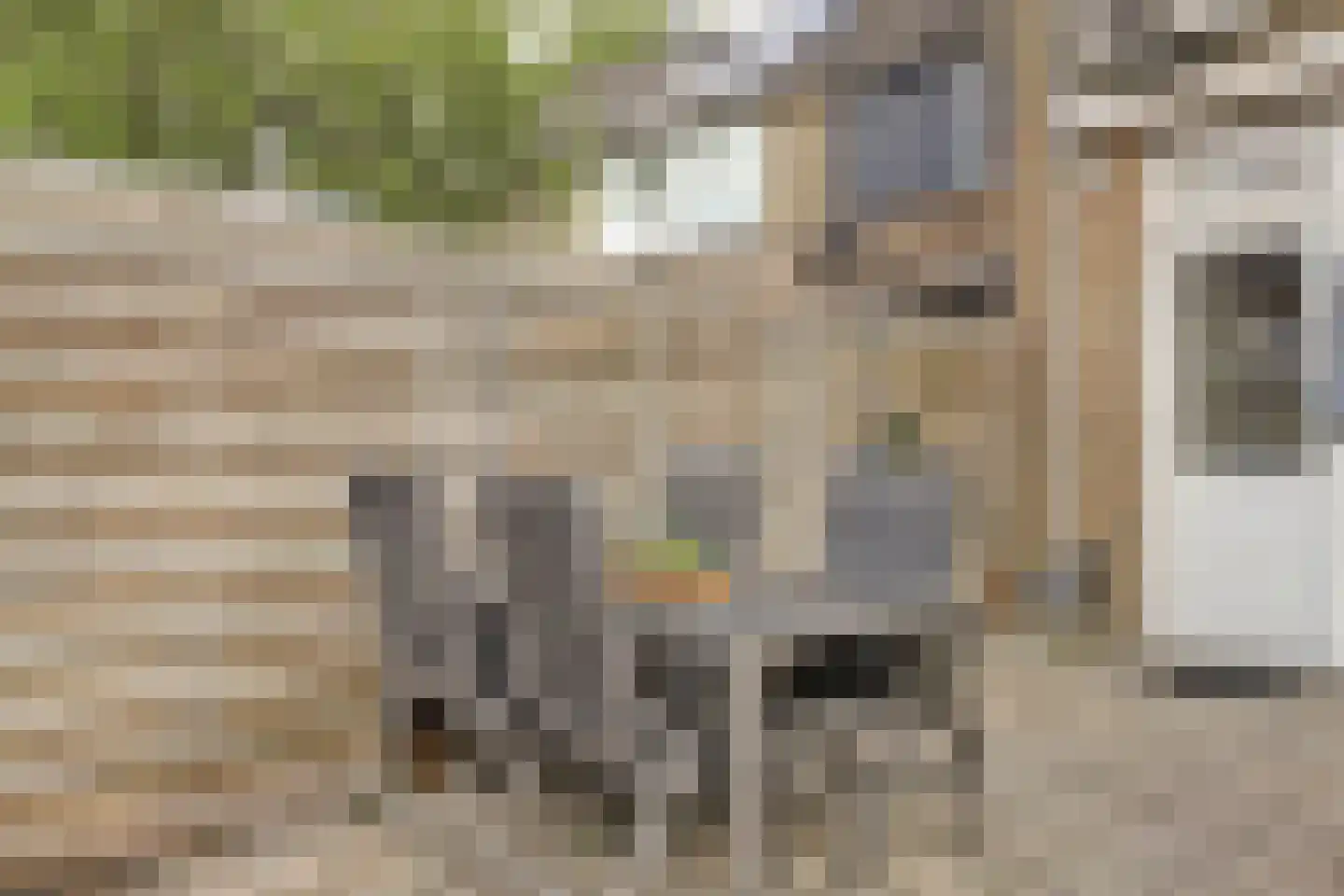 Slangenburg 4 Zwijndrecht thumbnail 41