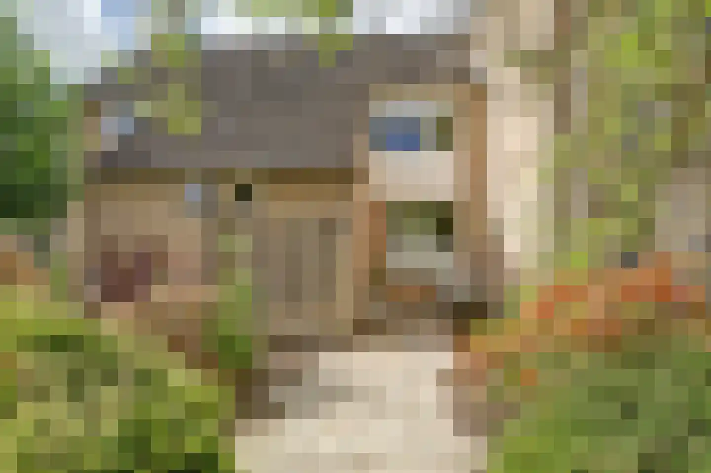 Slangenburg 4 Zwijndrecht thumbnail 46