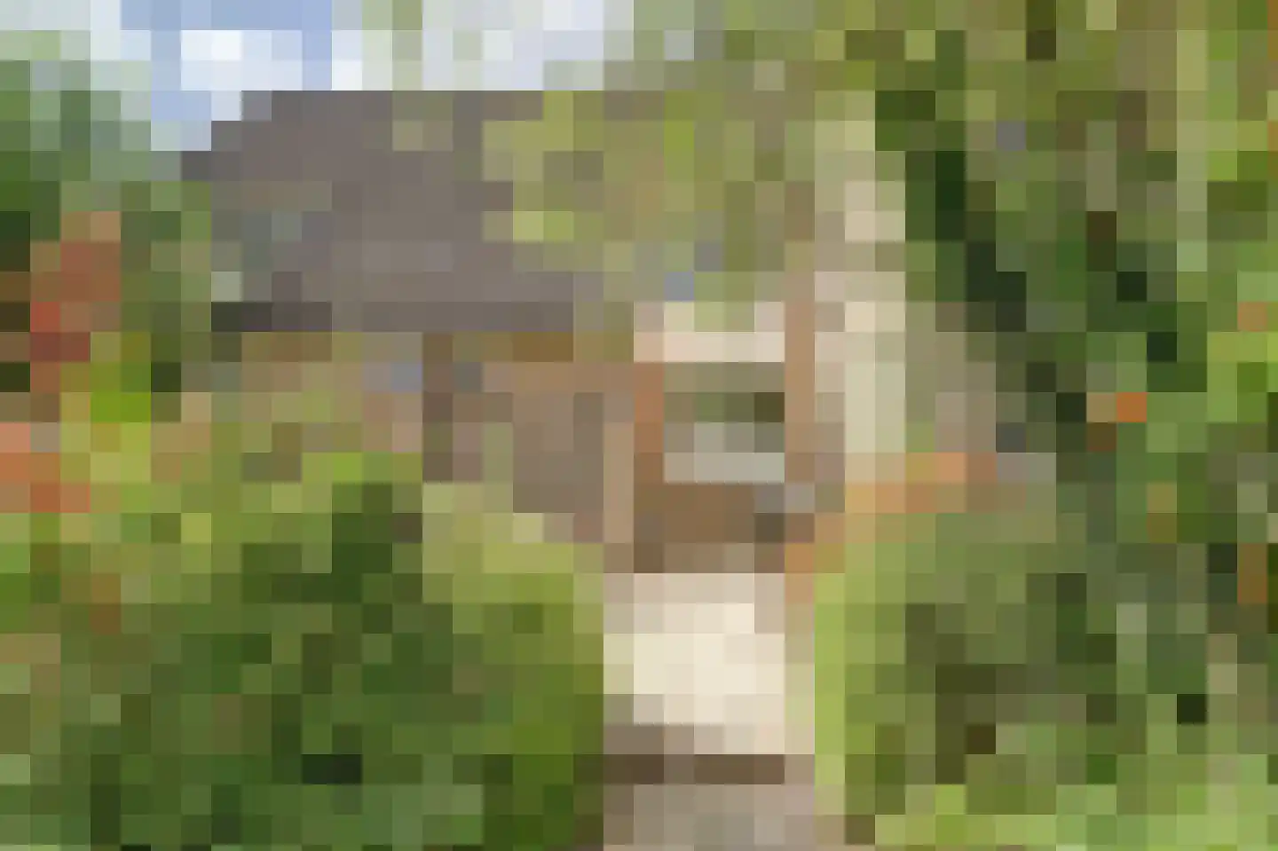 Slangenburg 4 Zwijndrecht thumbnail 47