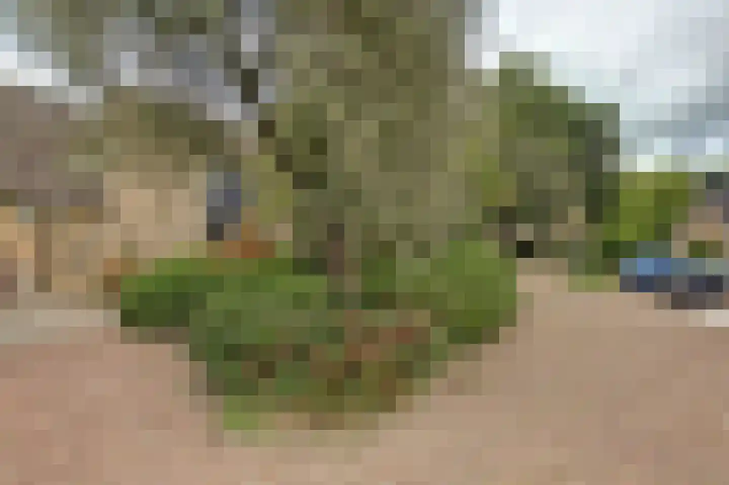 Slangenburg 4 Zwijndrecht thumbnail 50