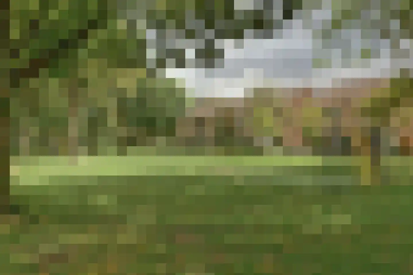 Slangenburg 4 Zwijndrecht thumbnail 51