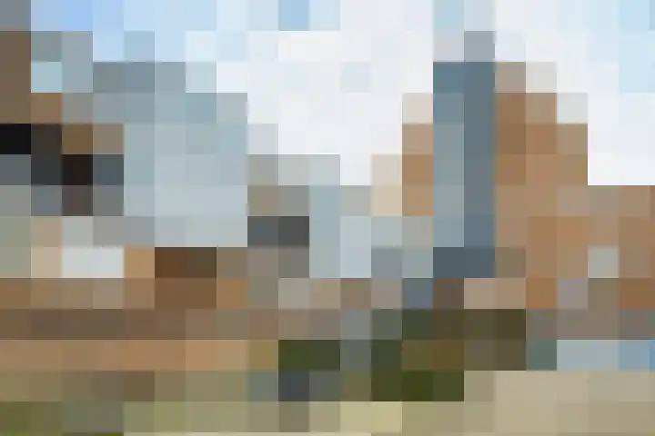 Slangenburg 40 Dordrecht thumbnail 8