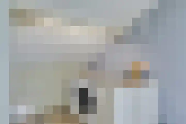 Slangenburg 404 Deventer thumbnail 21