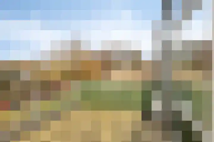 Slangenburg 404 Deventer thumbnail 25