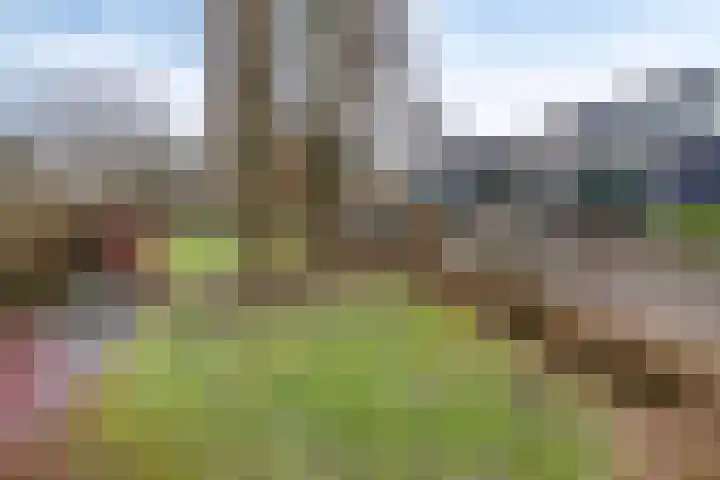 Slangenburg 404 Deventer thumbnail 33