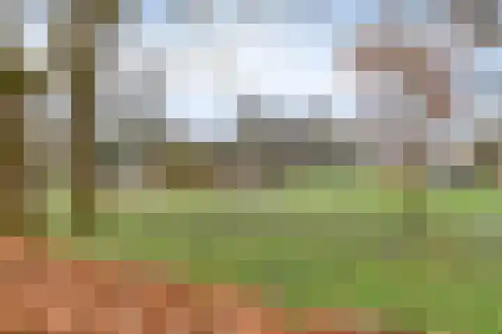 Slangenburg 404 Deventer thumbnail 34
