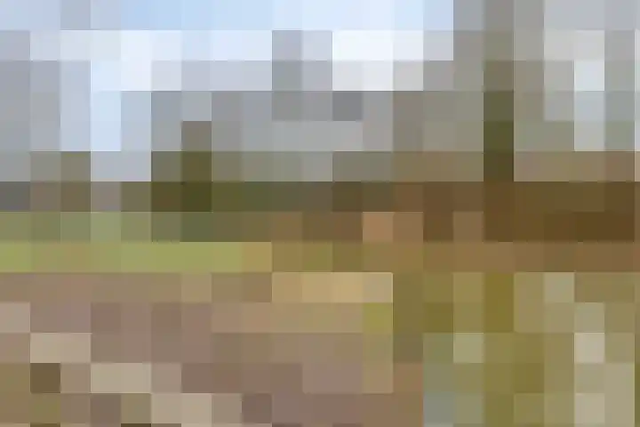Slangenburg 404 Deventer thumbnail 35