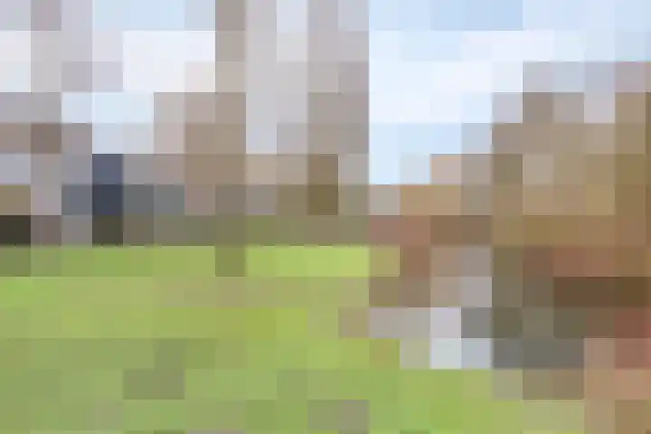 Slangenburg 404 Deventer thumbnail 36