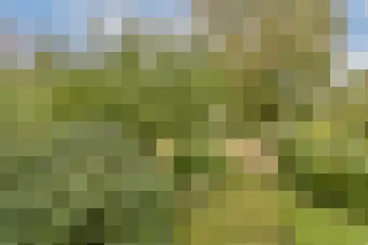 Slangenburg 44 Amsterdam thumbnail 8