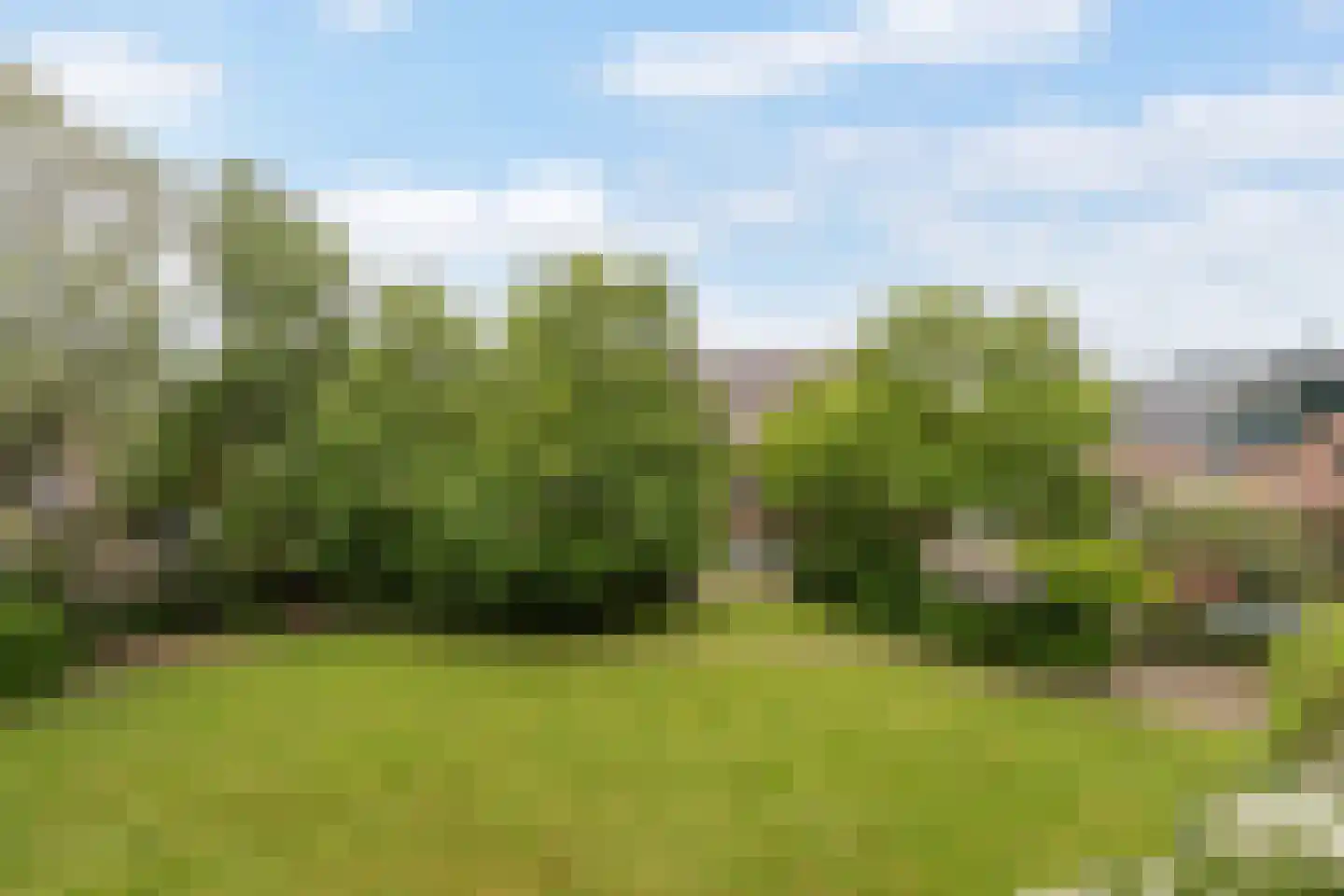Slangenburg 62 Dordrecht thumbnail 4