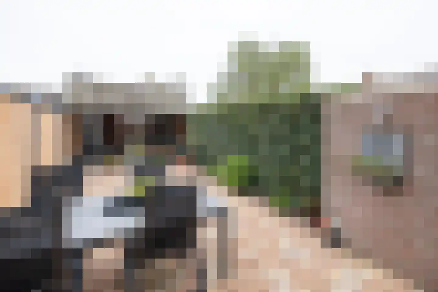 Slangenburg 68 Barneveld thumbnail 31