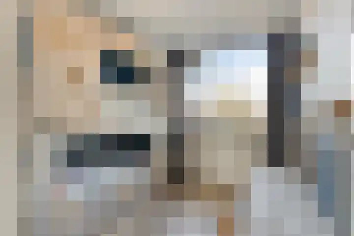 Slangenburg 83 Barneveld thumbnail 18