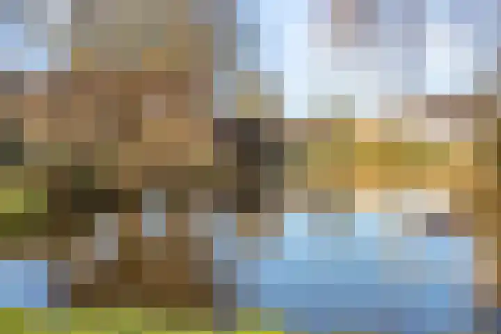 Slangenburg 83 Barneveld thumbnail 33
